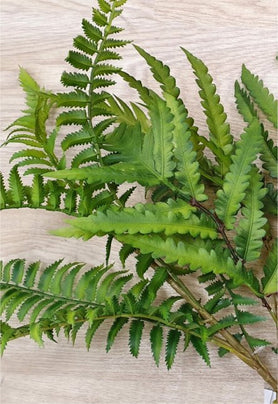 Foliage