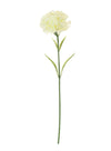 Single Carnation