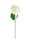 Aria Hydrangea