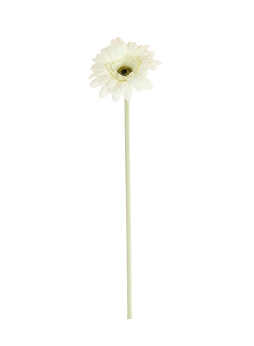 Jemima Gerbera Stem (small)