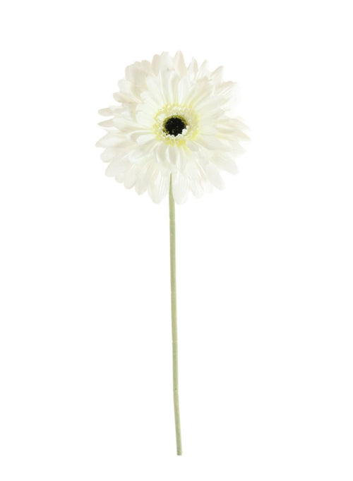 Jemima Gerbera Stem (large)