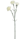 Carnation Stem