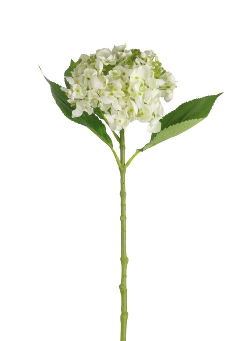 Imperial Hydrangea Stem