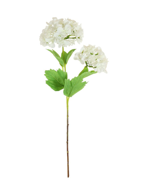 Lace Cap Hydrangea Stem (2 Flower Heads)