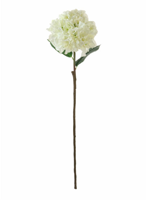 French Hydrangea (long Stem)