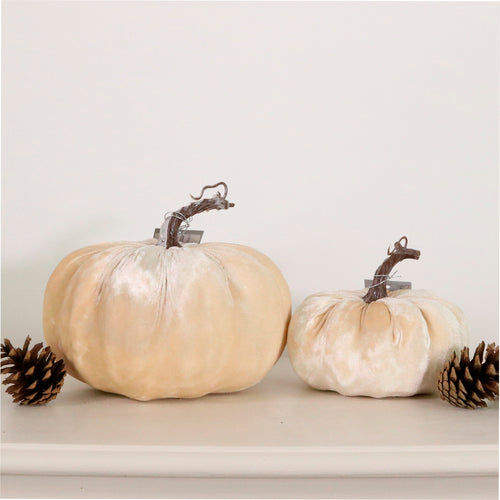 Autumn Single Velvet Pumpkin (20cm)