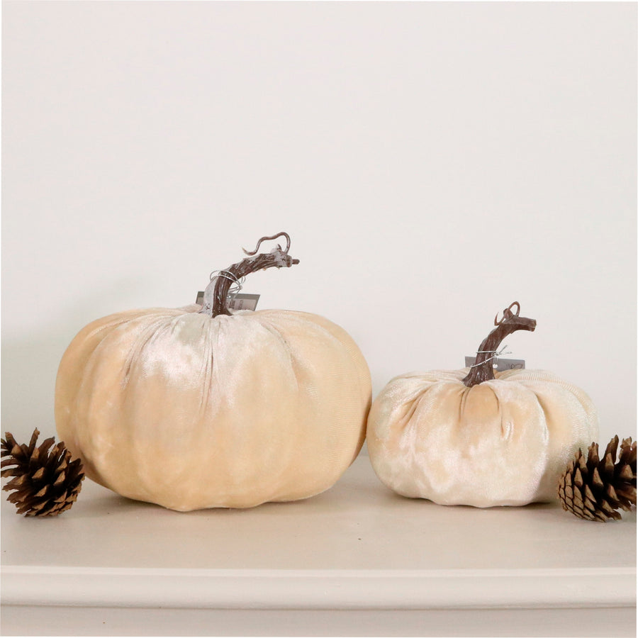 Autumn Single Velvet Pumpkin (20cm)