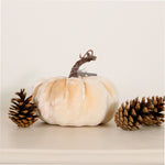 Autumn Single Velvet Pumpkin (14cm)