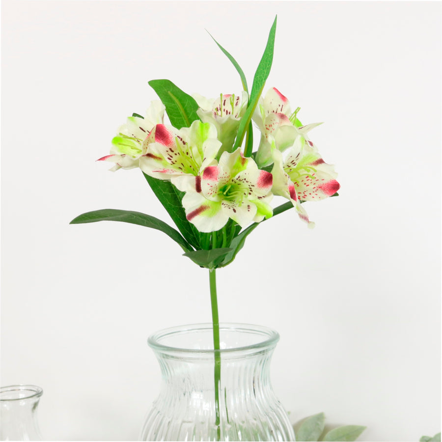 Alstroemeria (small)