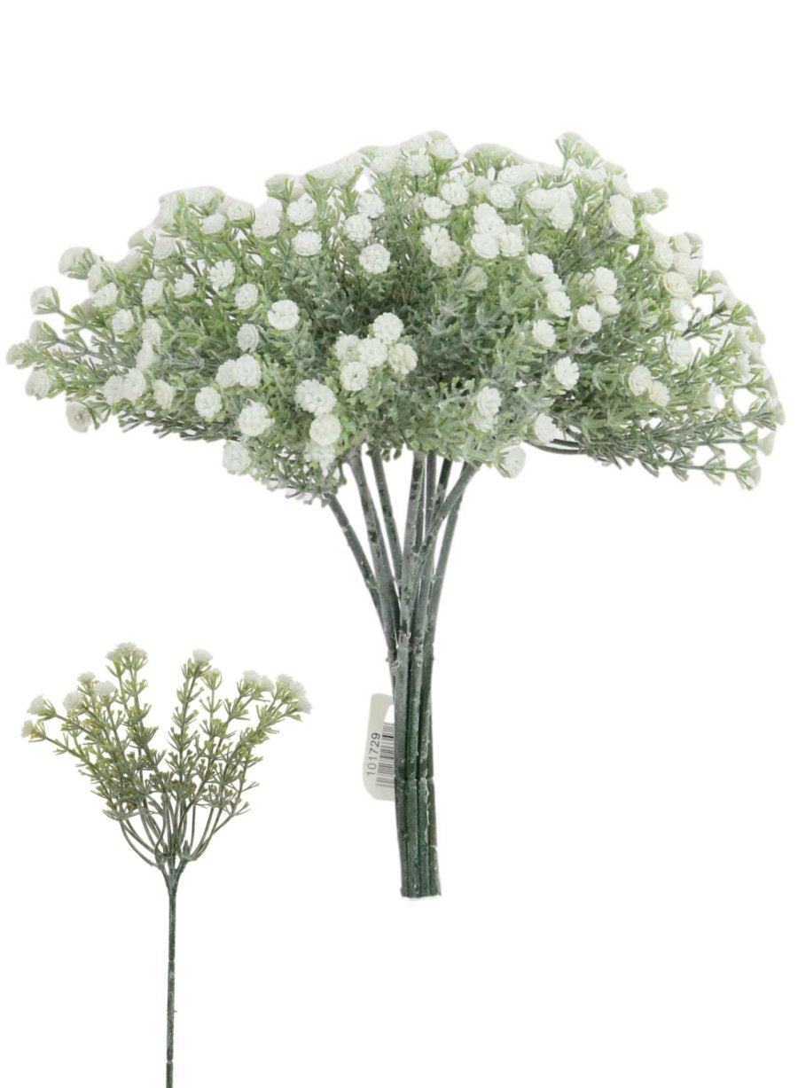 Wild Gypsophila