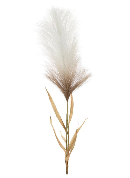 Single Pampas Stem