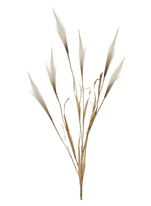 Reed Pampas Spray