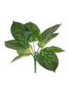 Printed Pothos Leaf Bunch (small)