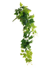 Printed Trailing Ivy Bunch (large)