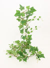 Vined Ivy Garland