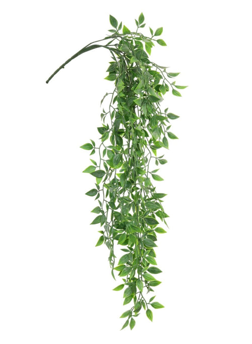 Hanging Ruscus Bunch