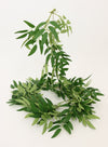 Ruscus Leaf Garland