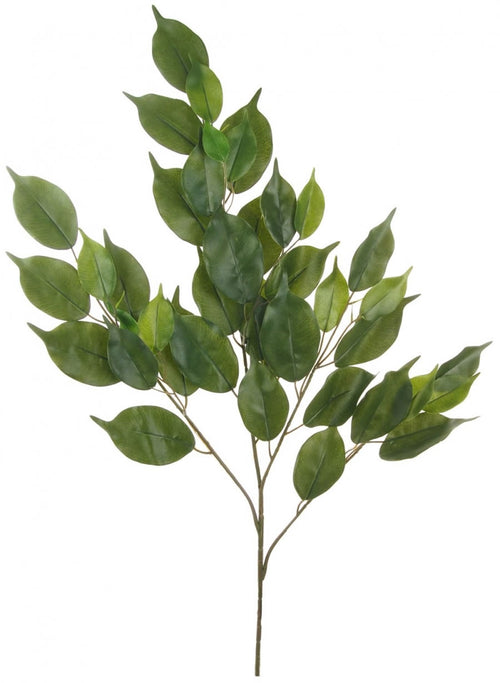 Bay Leaf Spray