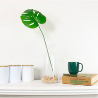 Monstera Stem (small)