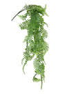 Hanging Fern Bunch