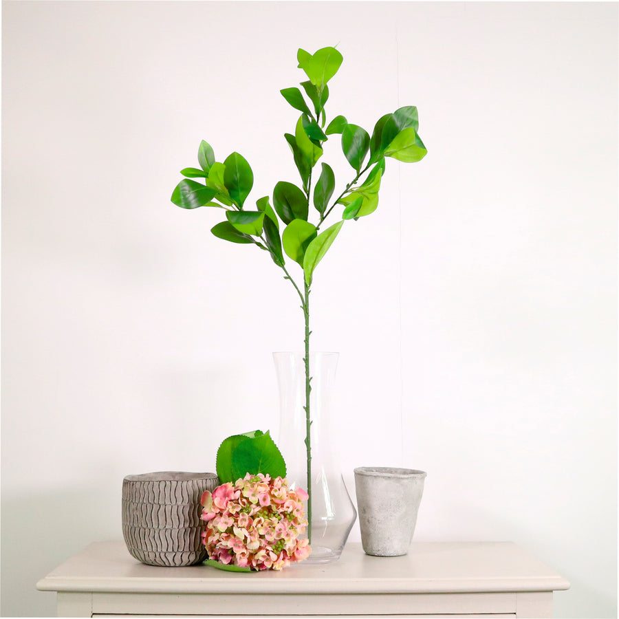 Laurel Spray