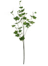 Ivy Stem (medium)