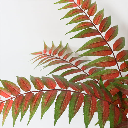 Byfield Fern Leaf