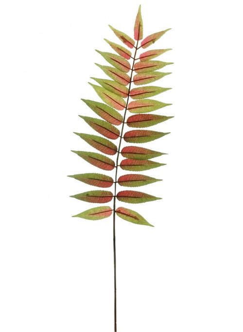 Byfield Fern Leaf