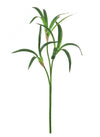 Mini Grass Stem