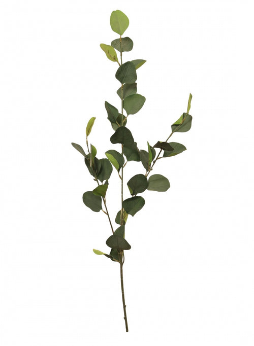 Silver Dollar Eucalyptus Stem (small)