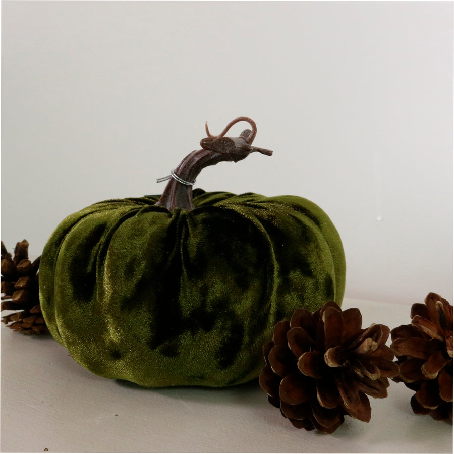 Autumn Single Velvet Pumpkin (20cm)