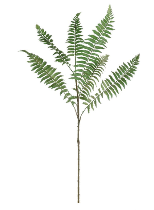 Ostrich Fern Spray