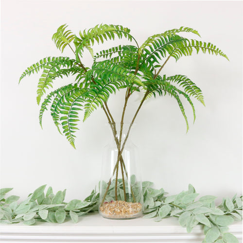 Ostrich Fern Spray