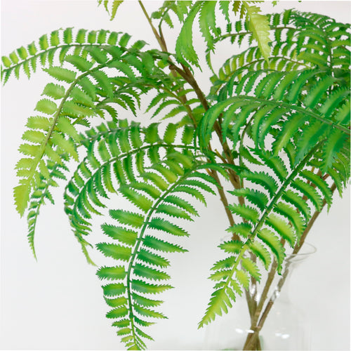 Ostrich Fern Spray