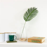 Tropical Fern Leaf (75cm)