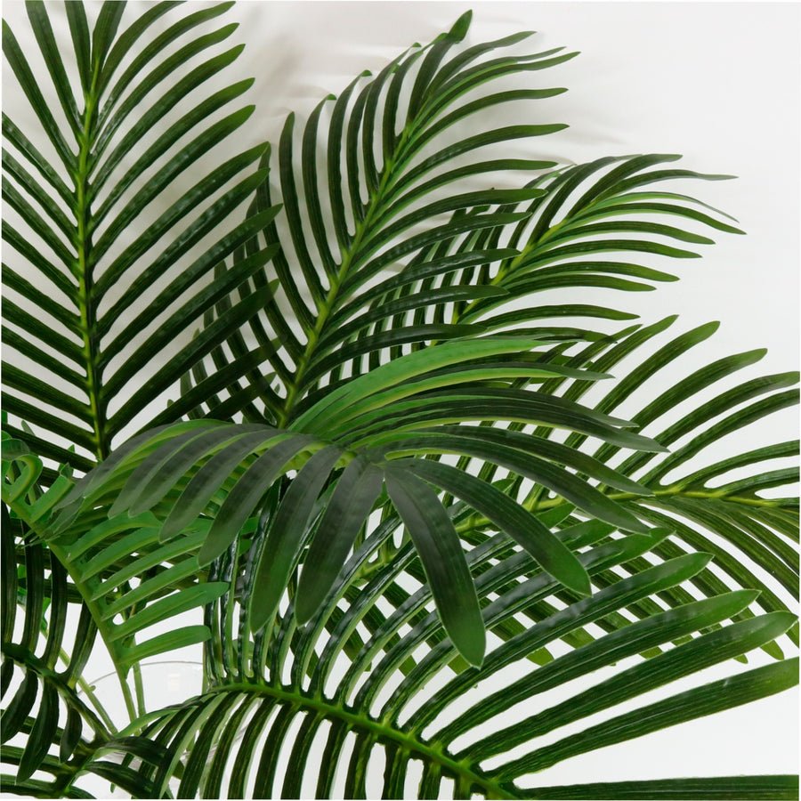 Tropical Fern Leaf (75cm)