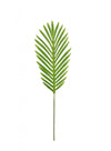 Tropical Fern Leaf (63cm)