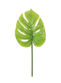 Monstera Stem (small)