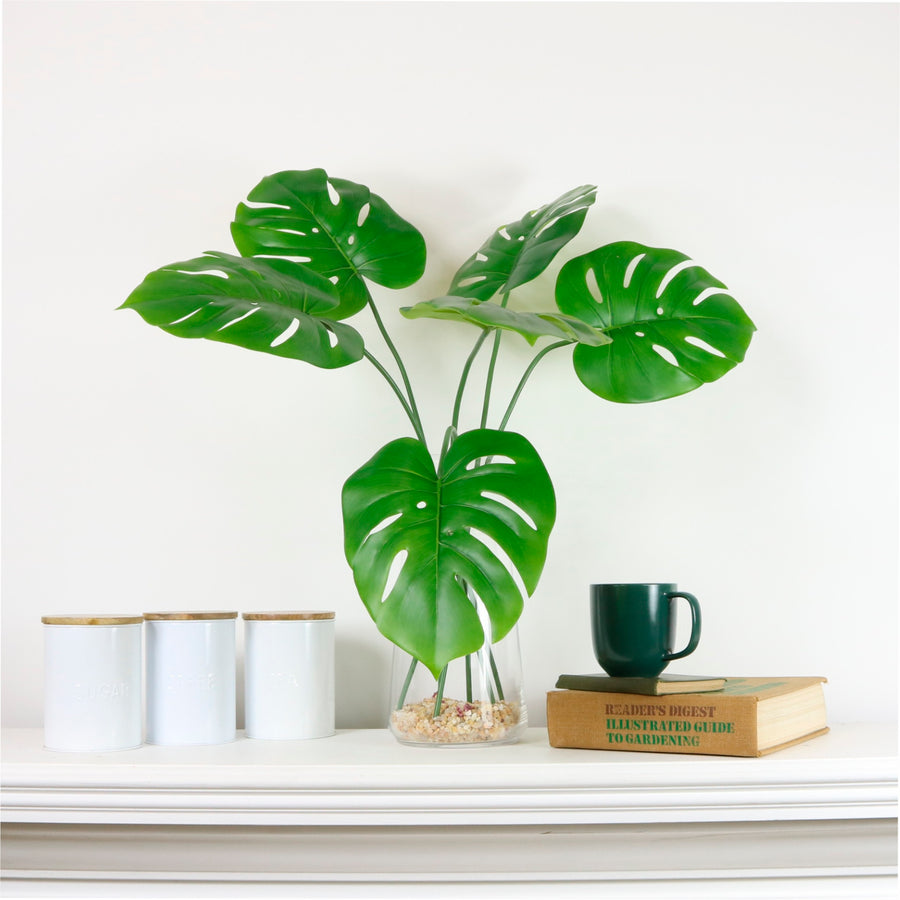 Monstera Stem (small)