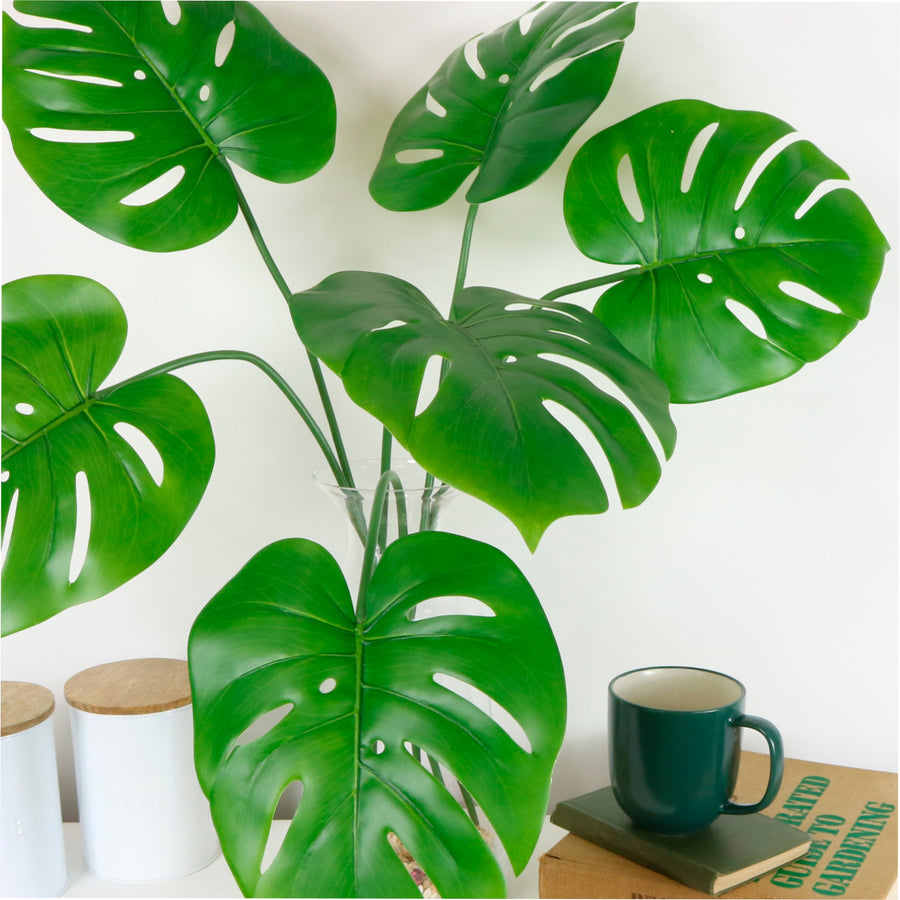 Monstera Stem (small)