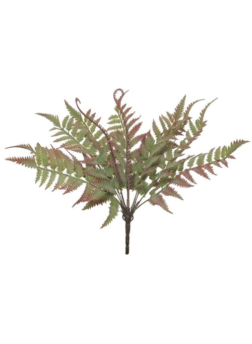 Regal Red Fern Bunch