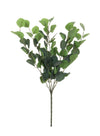 Silver Dollar Eucalyptus Bunch (large Long Stem)