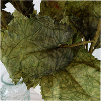 Dried Touch Fall Branch
