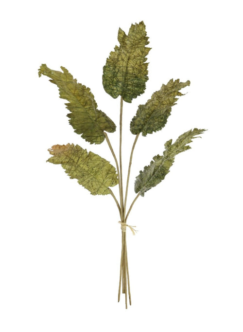 Dried Touch Fall Leaf Bunch