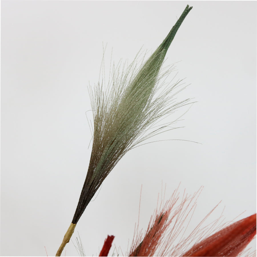 Reed Pampas Spray