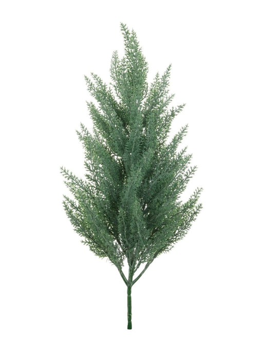 Mini Conifer Tree