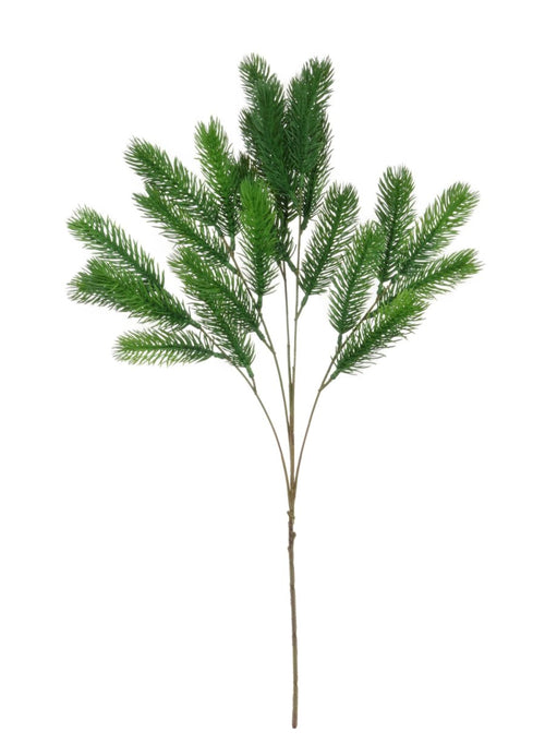 Xmas Spruce Branch