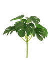 Mini Monstera Bunch (small)