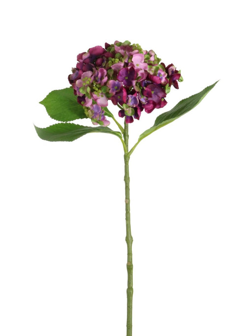 Imperial Hydrangea Stem