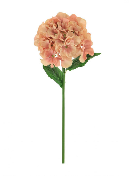 French Hydrangea (short Stem)